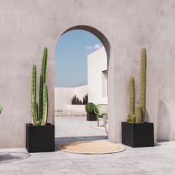 Vista 3