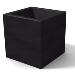 Vista 5