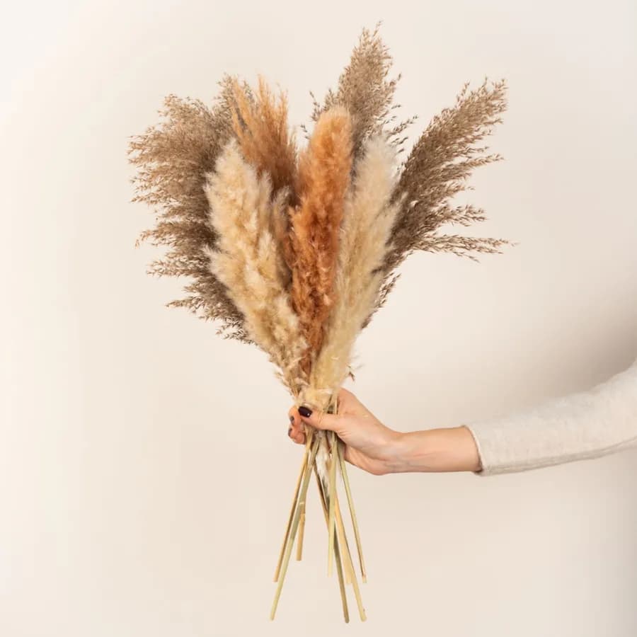 Bouquet di pampa decorativo 58h cm naturale