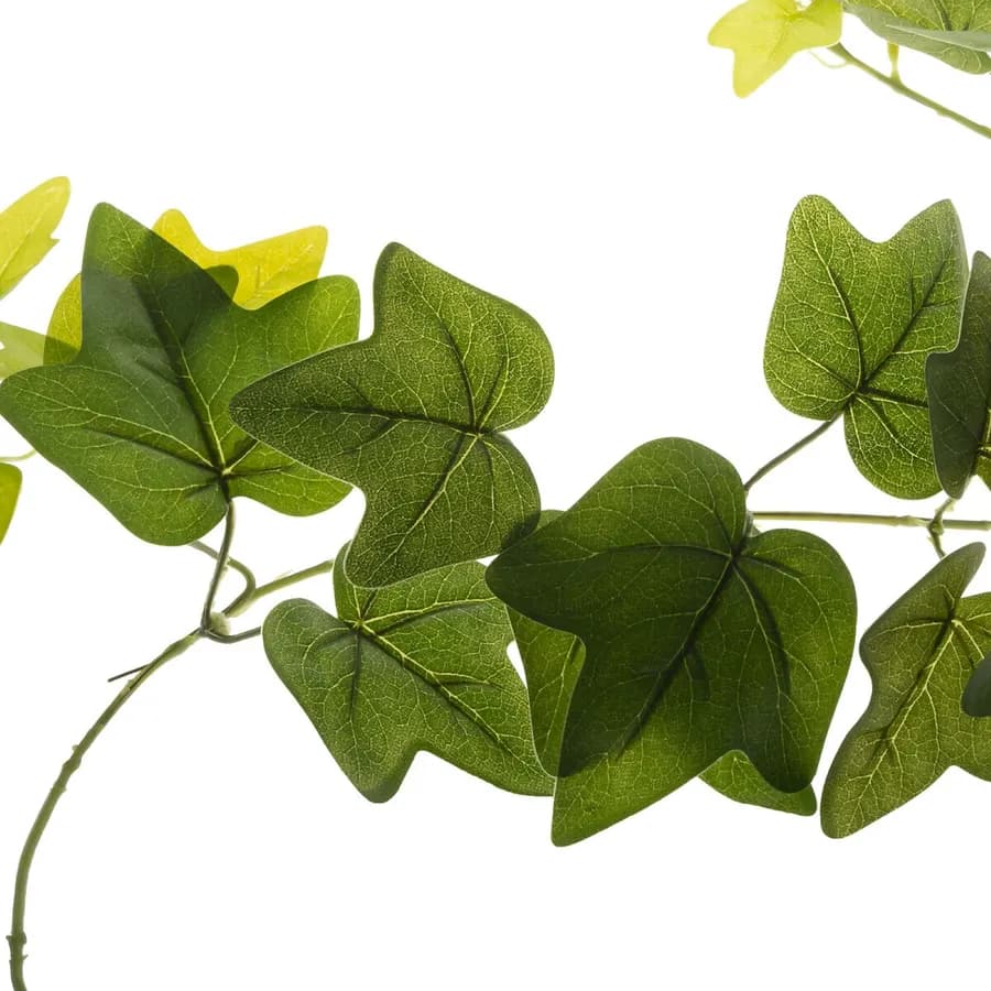 Ghirlanda di edera artificiale 190 cm verde