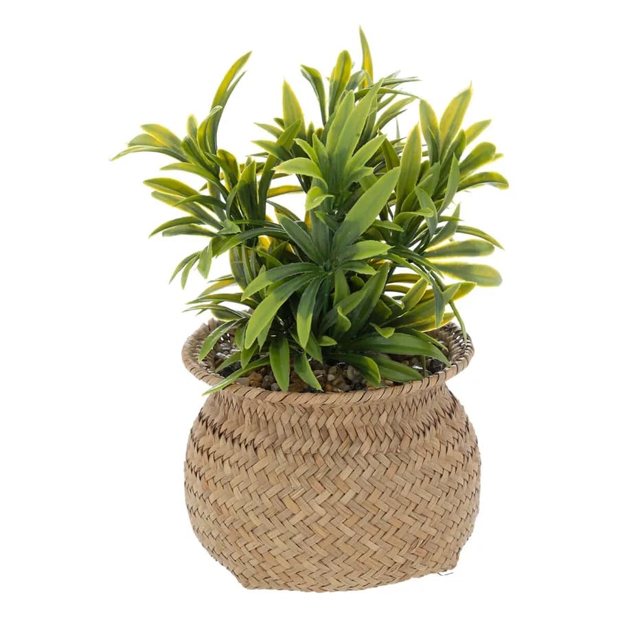 Pianta artificiale 20h cm con vaso intrecciato beige