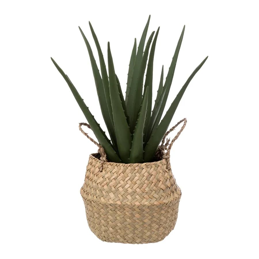 Pianta artificiale di aloe vera 37h cm con vaso naturale