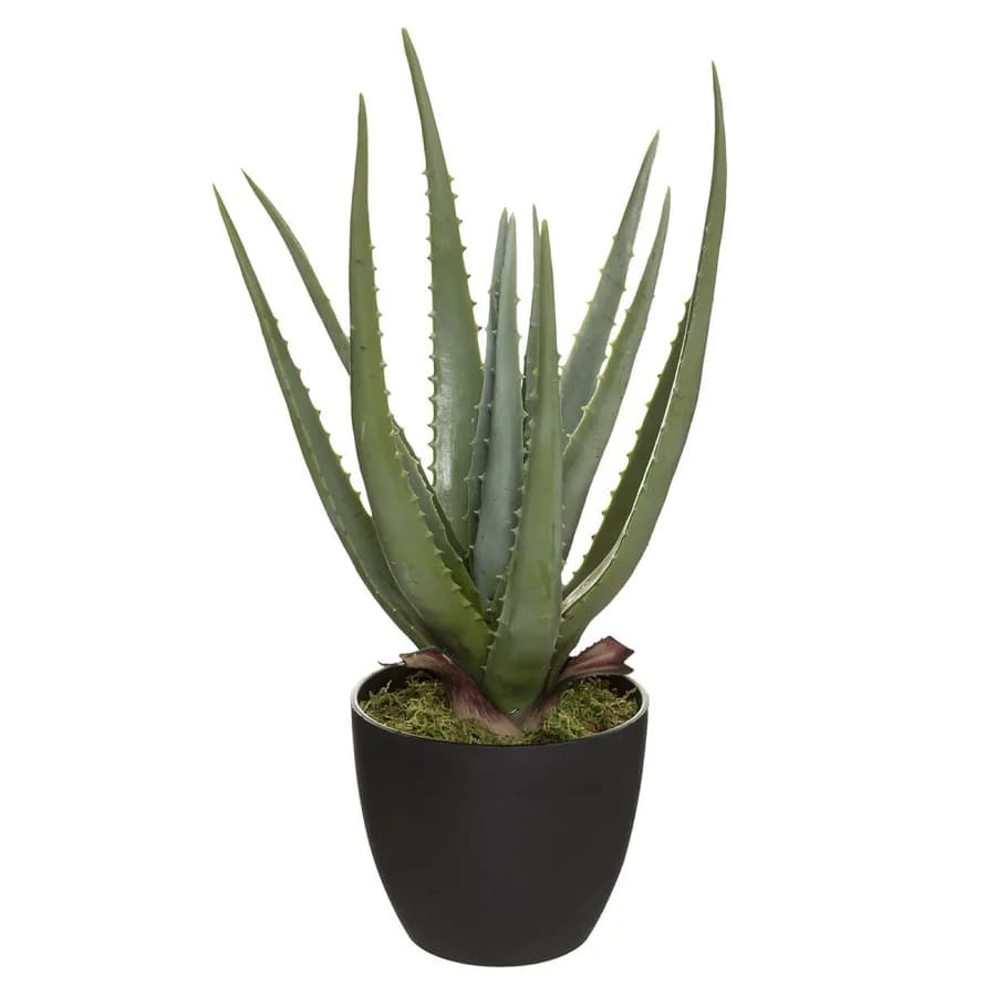 Pianta artificiale di aloe vera 39h cm con vaso