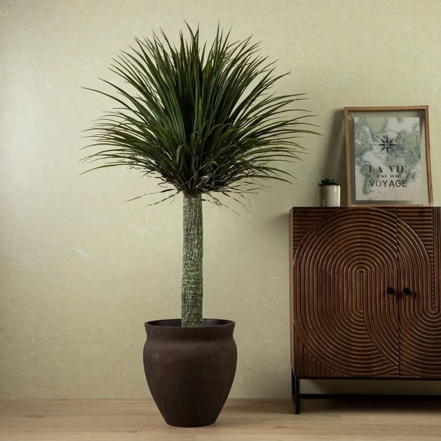 Pianta artificiale di yukka tropicale h 150 cm in vaso