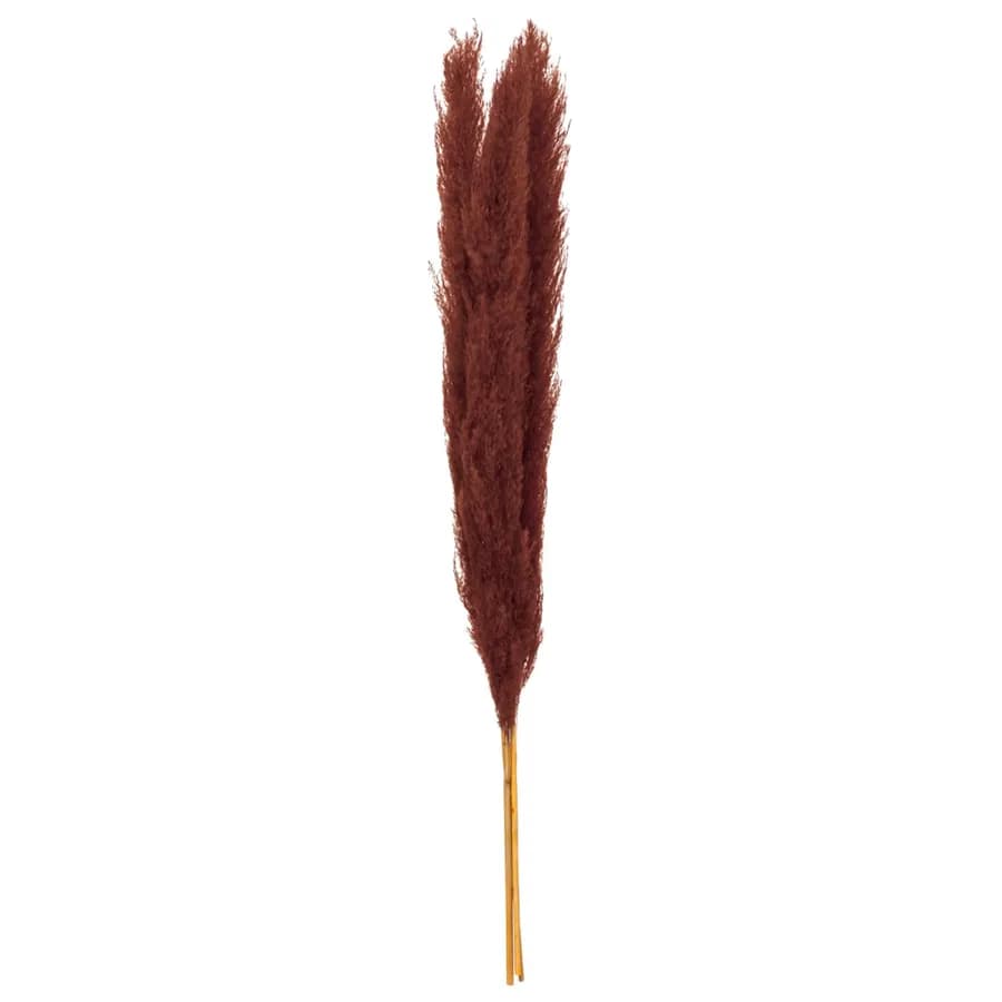 Set 3 piume di pampa decorative 110h cm rosso