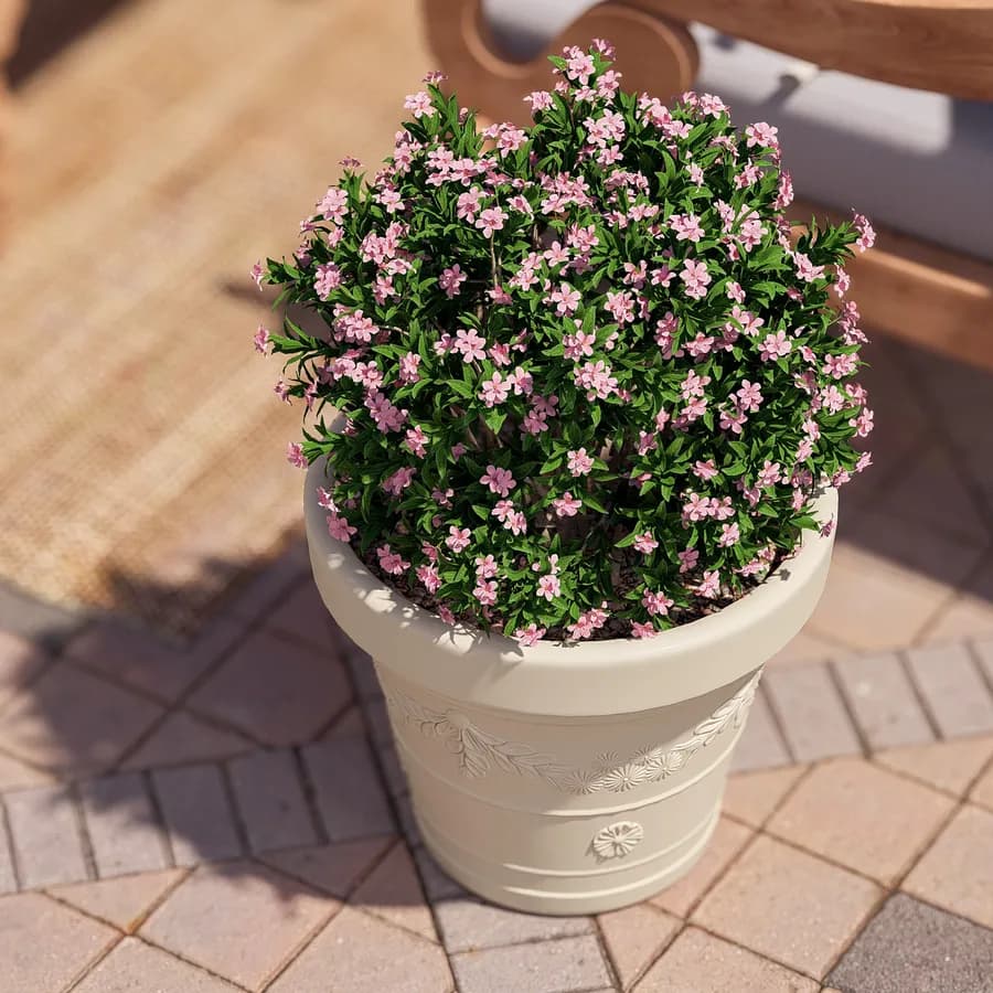 Vaso da esterno rotondo 50 cm festonato tutta capienza in polietilene crema - Fester