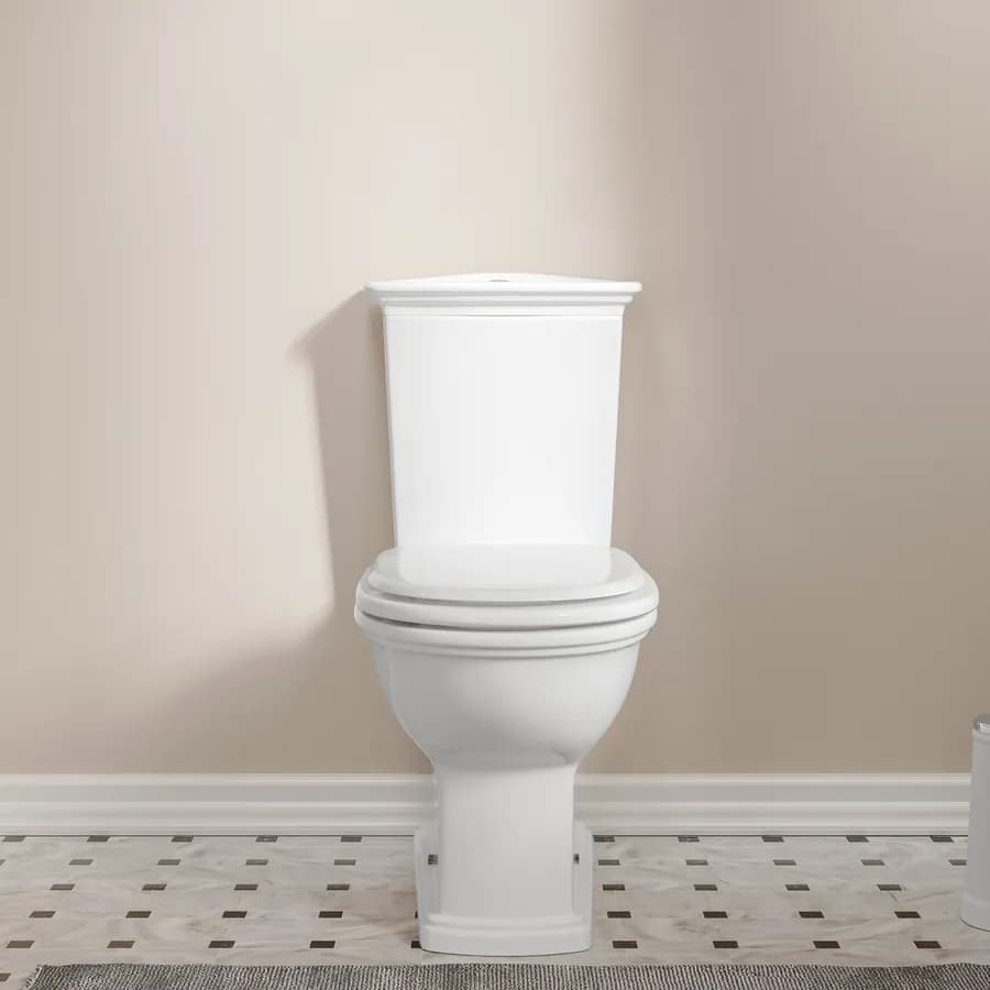 Vaso monoblocco con sedile in ceramica bianca - Fanit