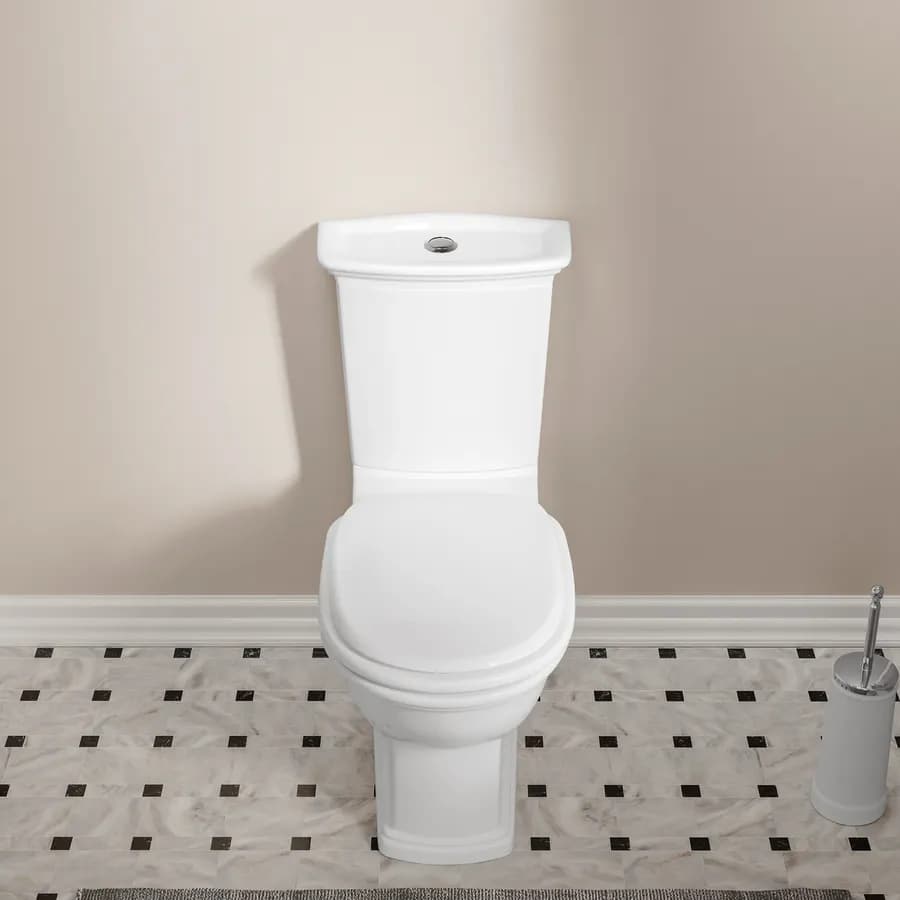 Vaso monoblocco con sedile in ceramica bianca - Fanit