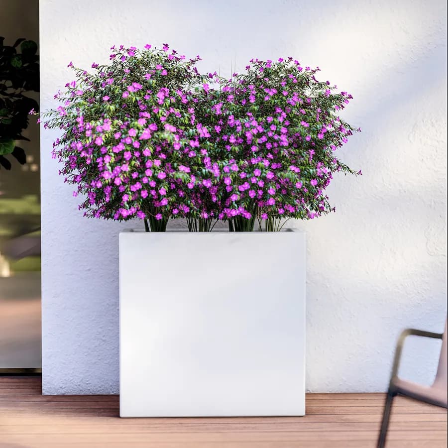 Vaso rettangolare 70 h cm tutta capienza in polietilene bianco - Moschito