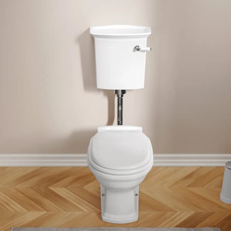 Vaso con cassetta di scarico e sedile in ceramica bianca - Fanit