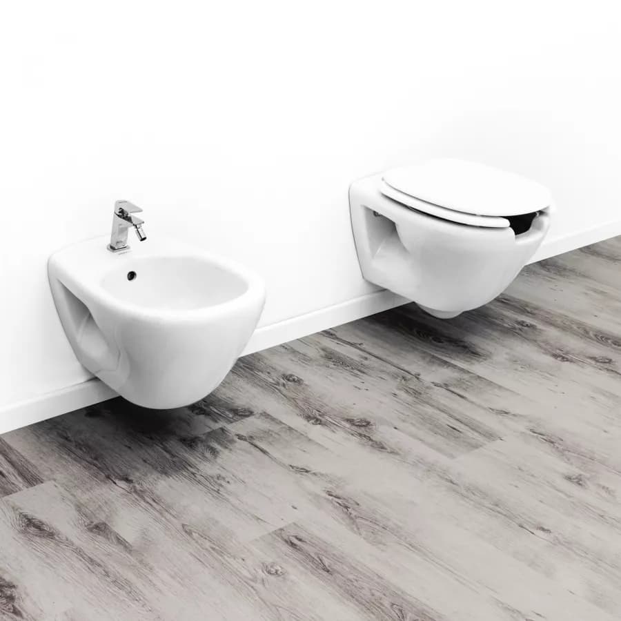 Wc sospeso con copriwc + bidet Up Sanitosco ausilio bagno accessibile
