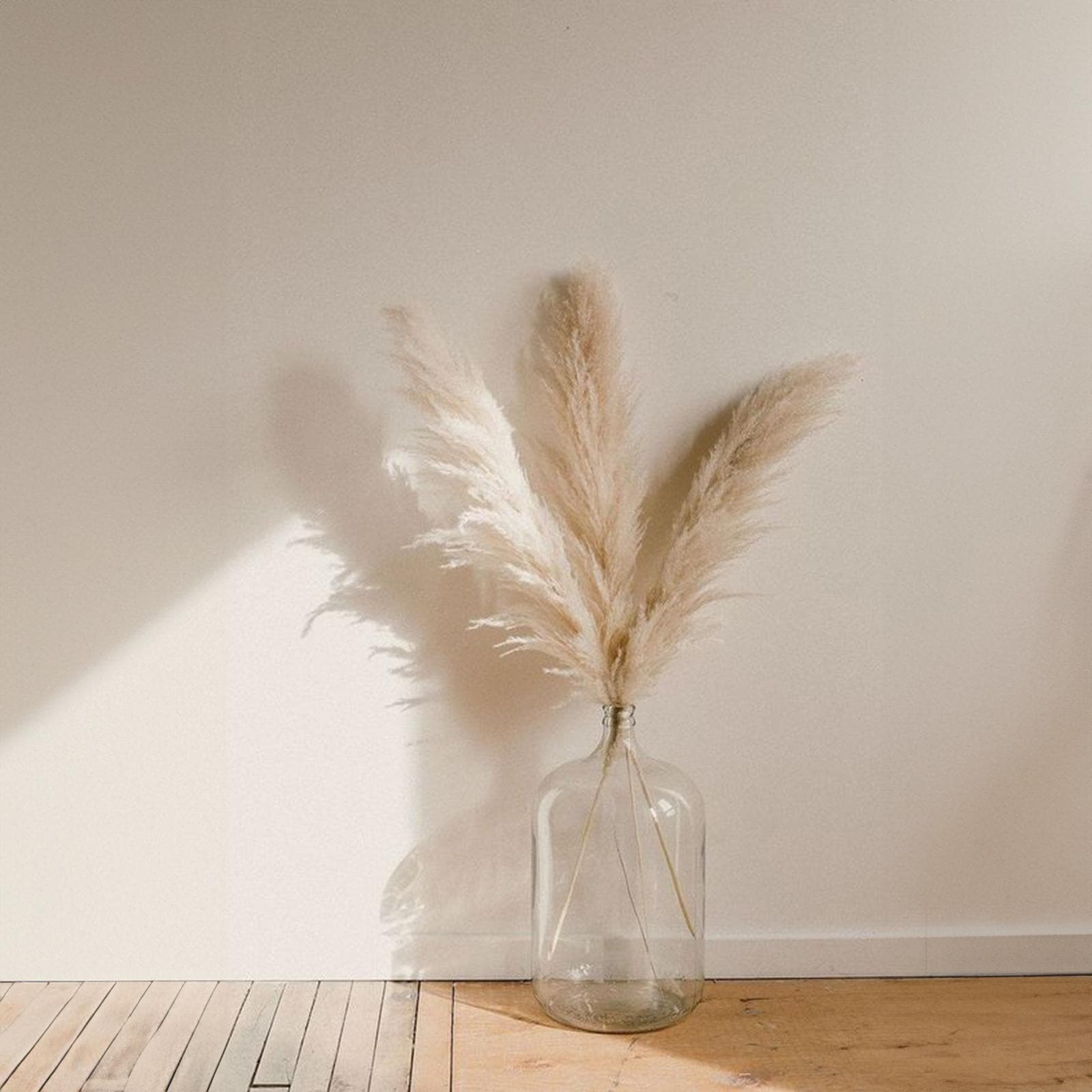 Set 6 rami decorativi di pampa 67h cm naturale