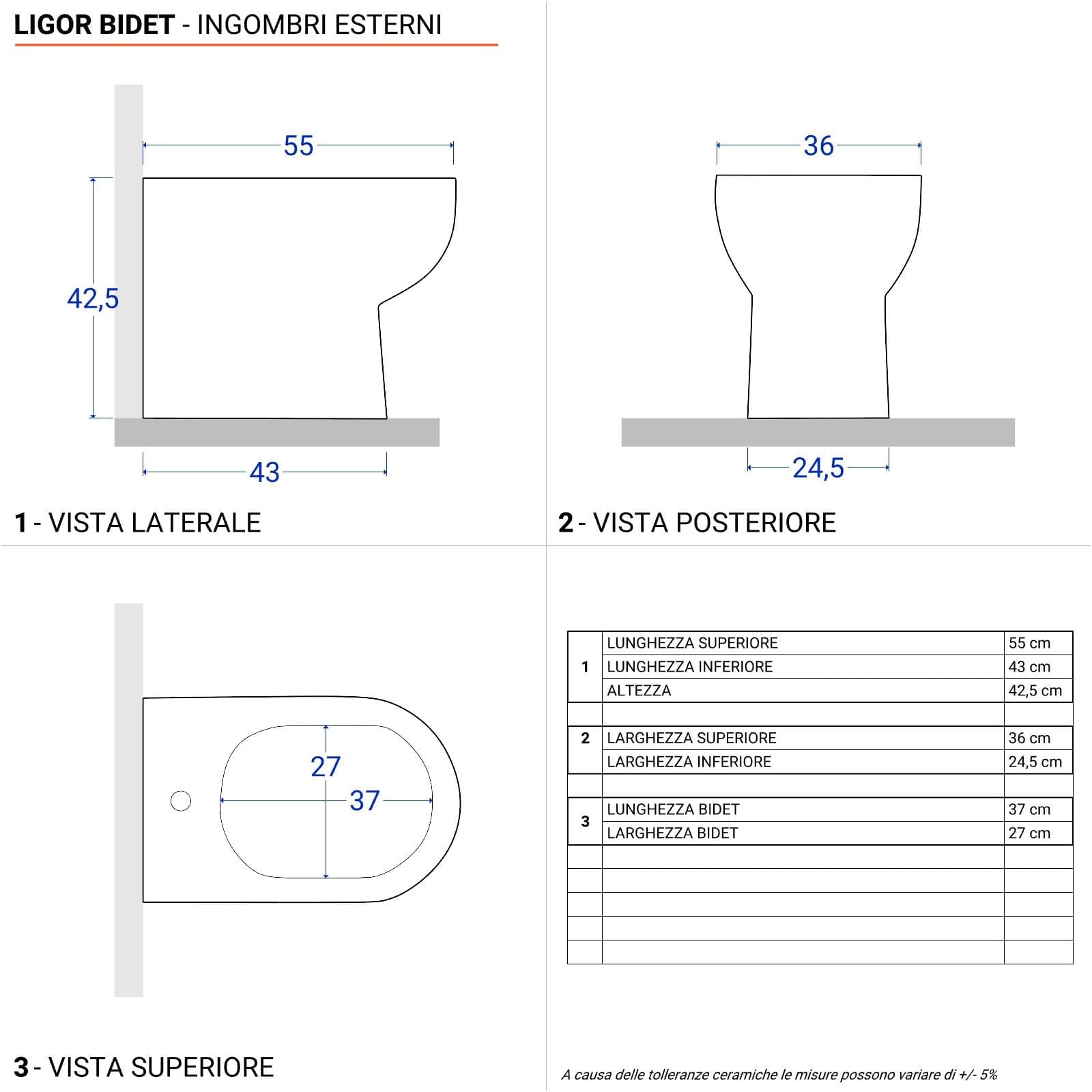 Coppia di sanitari vaso monoblocco e bidet con sedile soft-close in ceramica - Ligor
