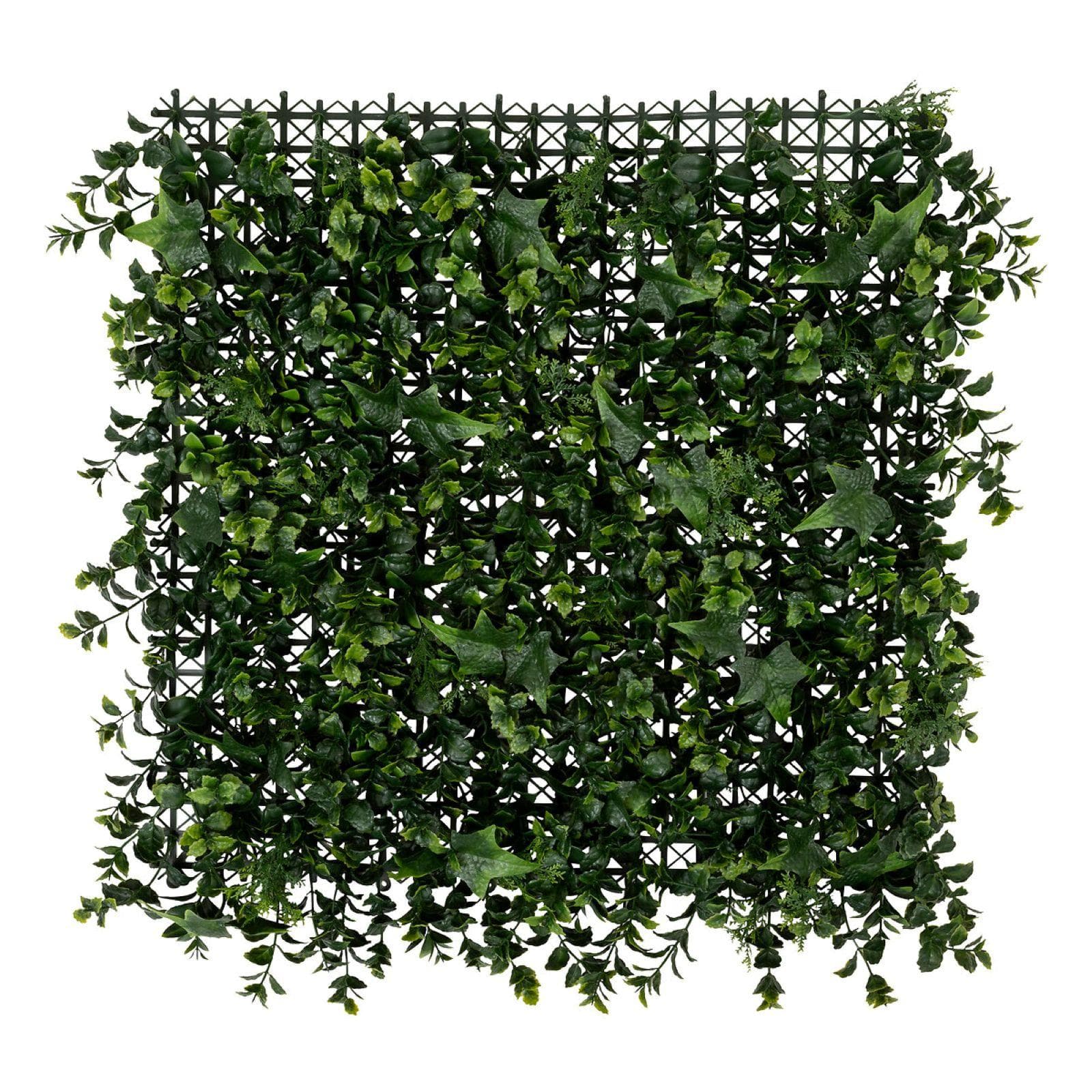 Decorazione da parete 50x50 cm edera artificiale da interno o esterno - Muskio