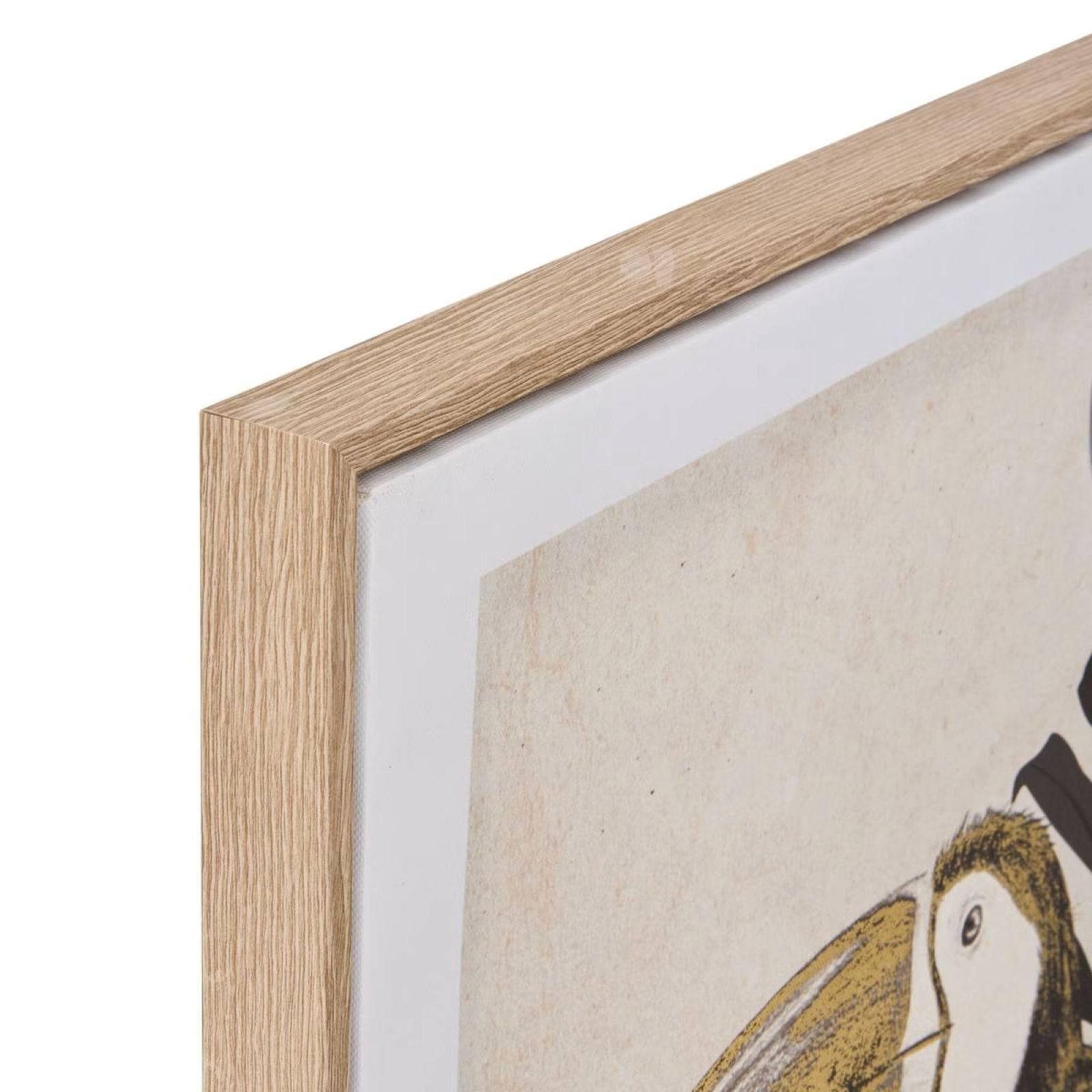 Decorazione da parete 50x70h cm tucano nero e oro