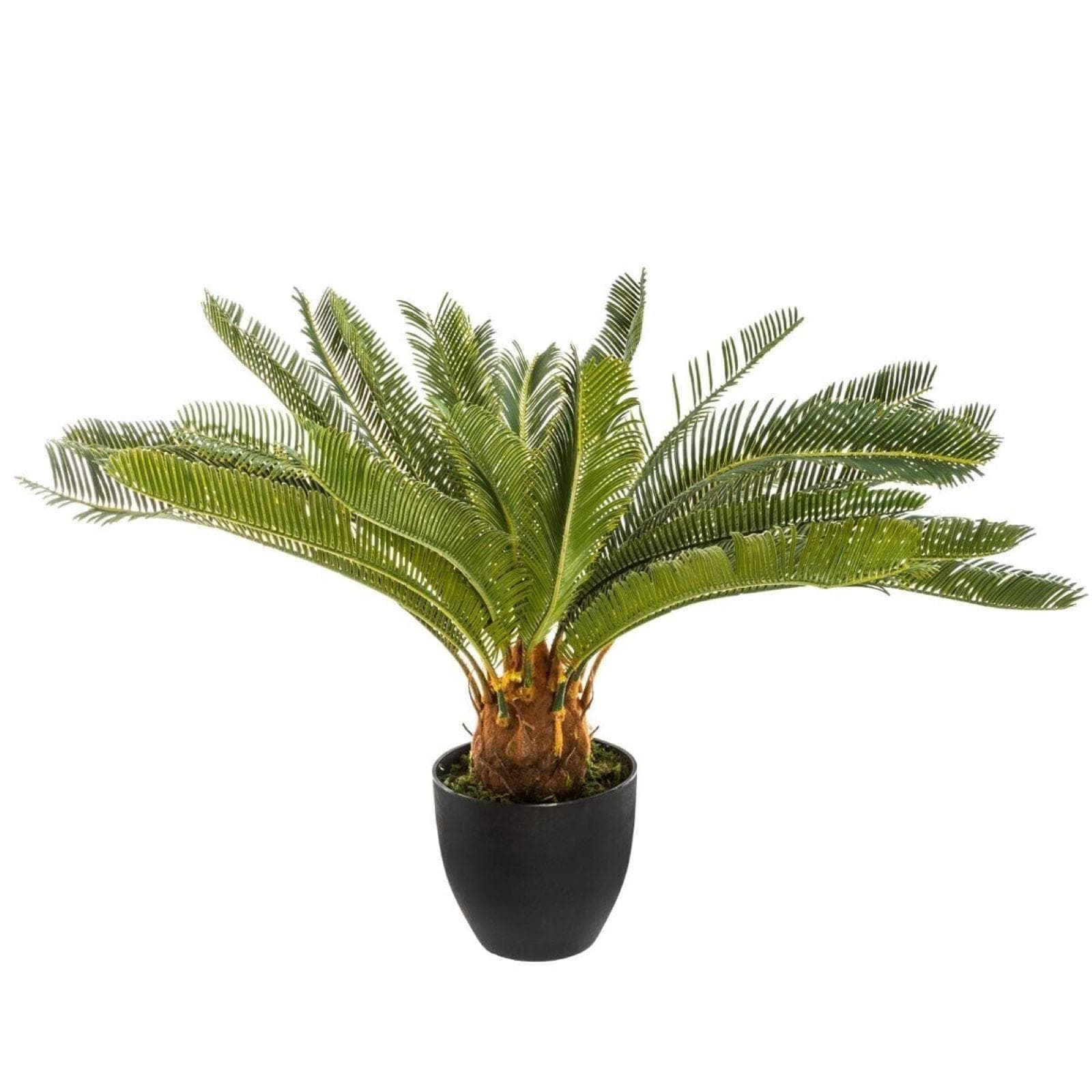 Pianta artificiale di cycas 72h cm con vaso