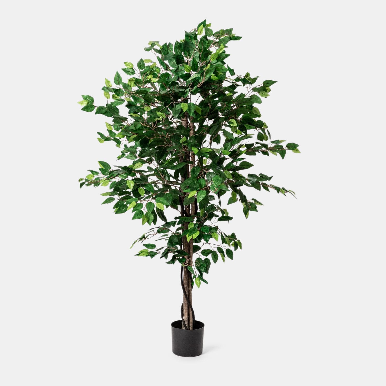 Pianta artificiale di ficus benjamin 160h cm con vaso