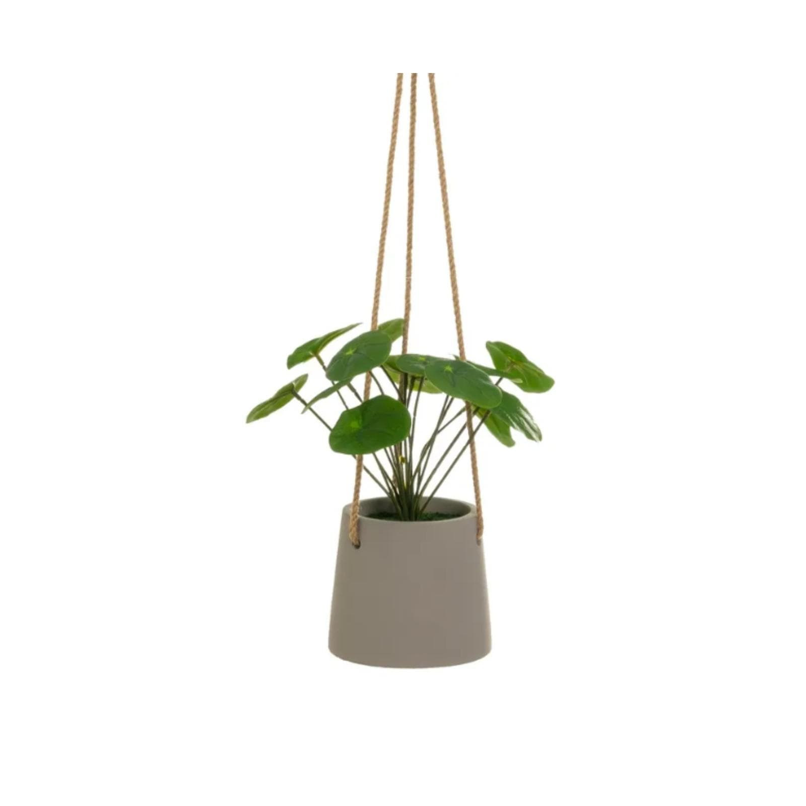Pianta artificiale pendente 24h cm in vaso tortora