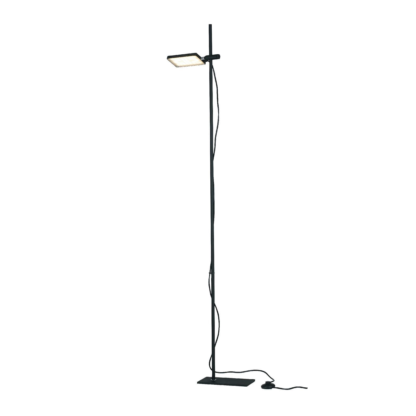 Piantana 182 cm in alluminio nero e diffusore orientabile
