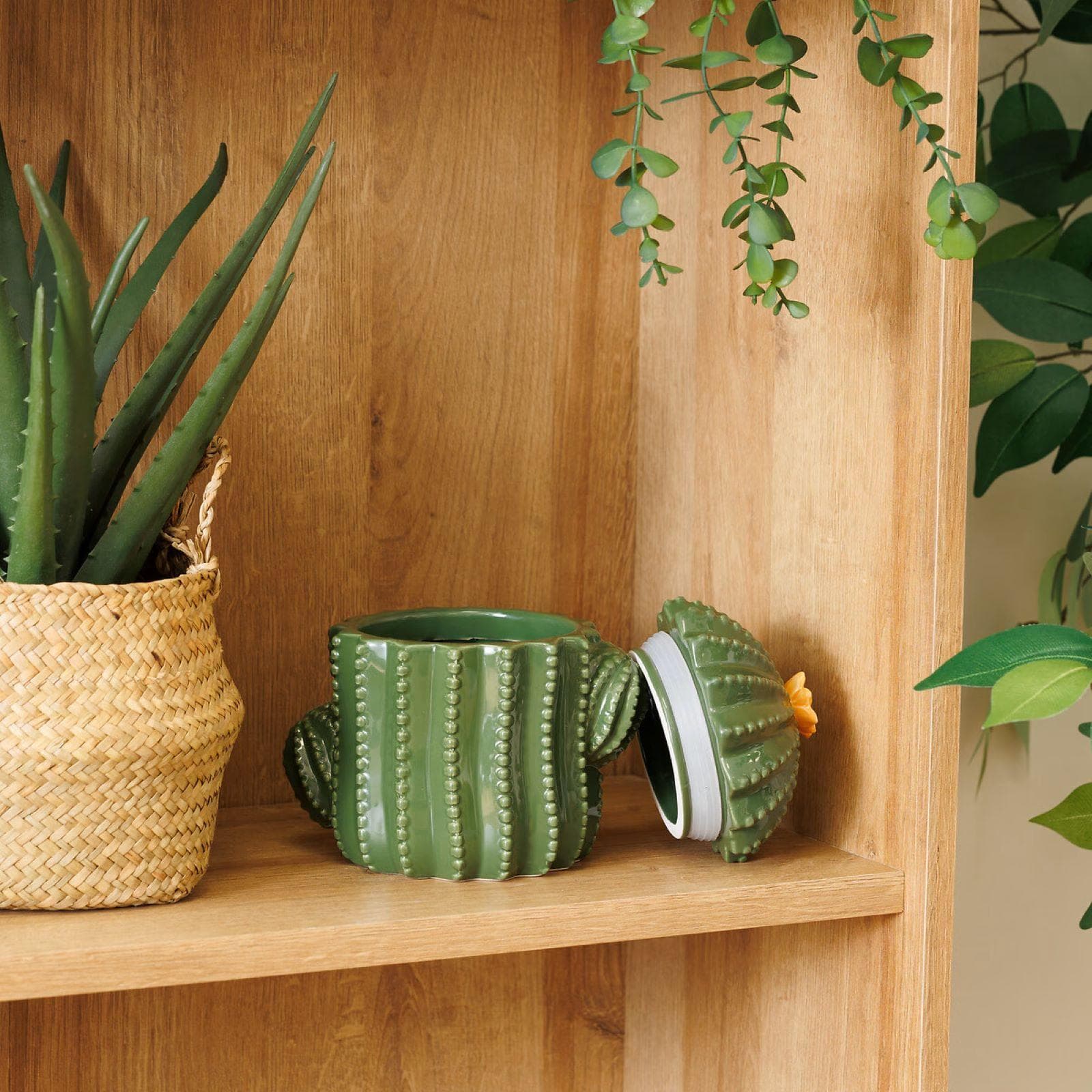 Scatola decorativa rotonda 11 cm cactus in ceramica verde