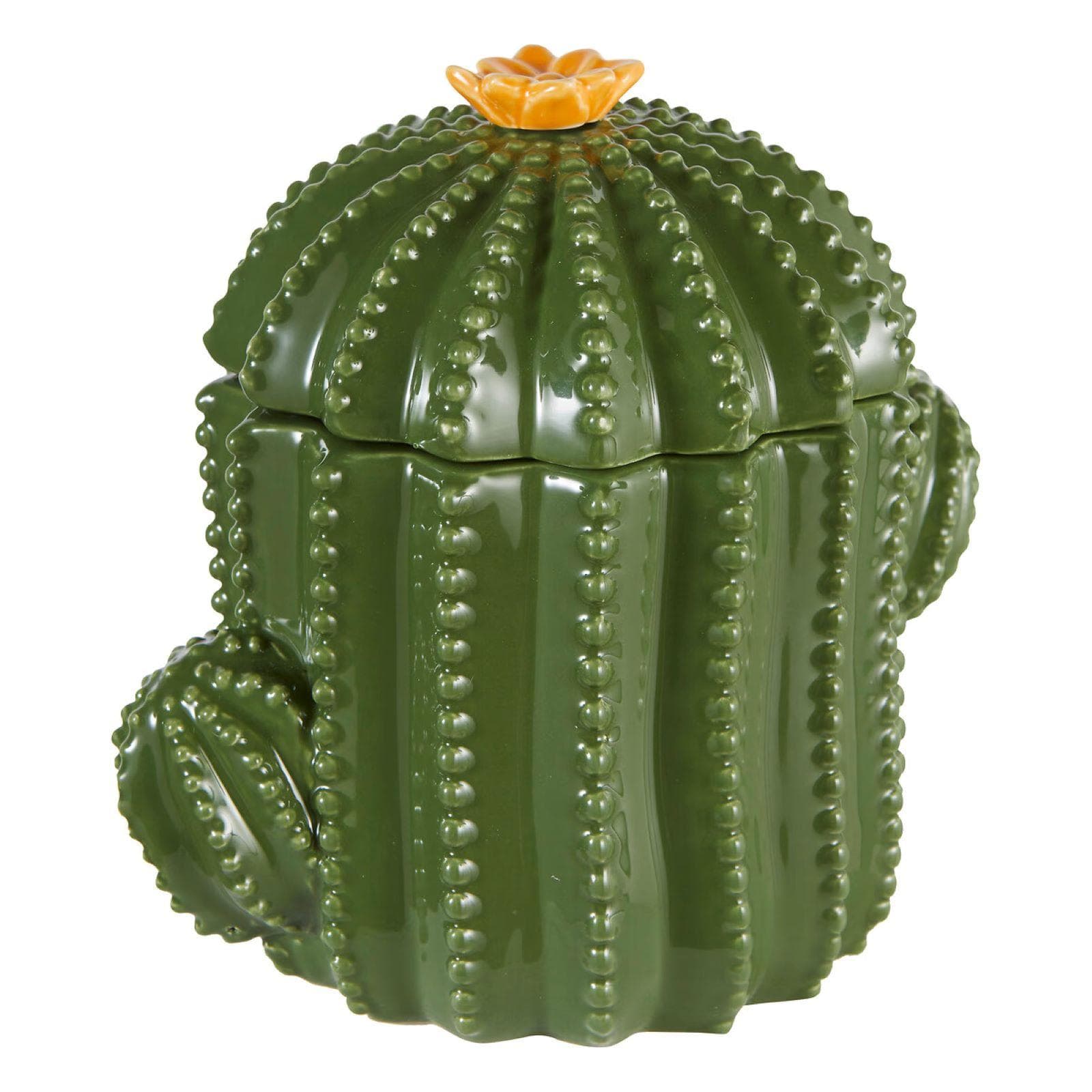 Scatola decorativa rotonda 11 cm cactus in ceramica verde