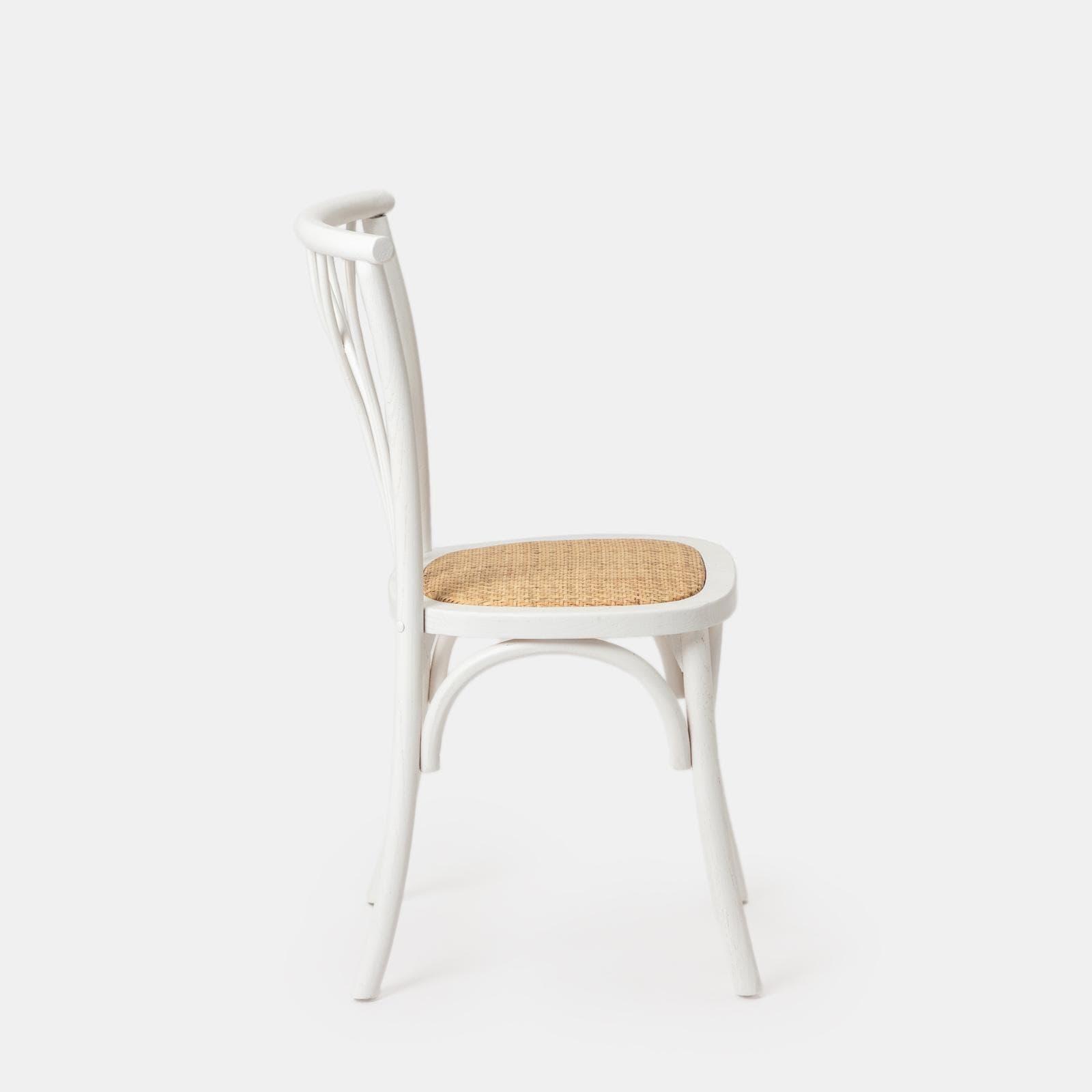 Sedia in legno di olmo bianco con seduta in rattan - Aymit