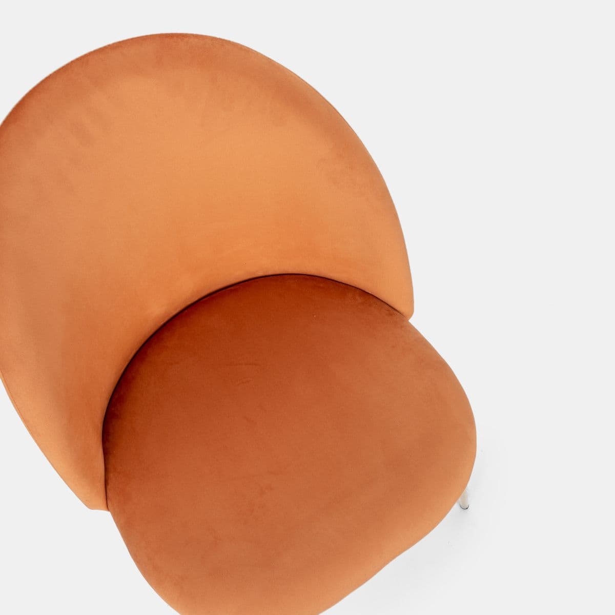 Sedia in velluto ruggine con gambe oro - Melt